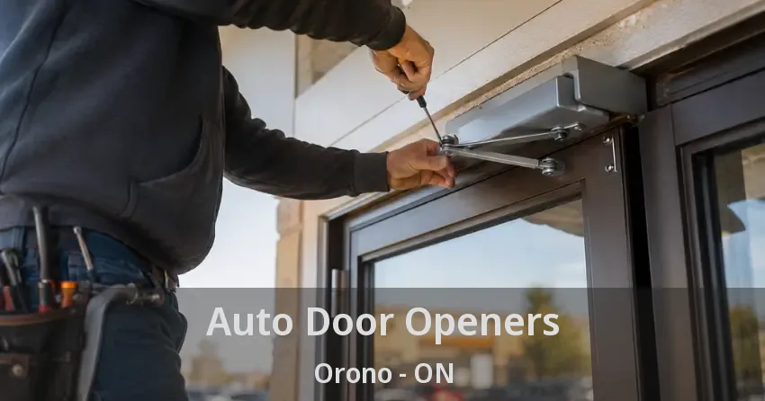 Auto Door Openers Orono - ON