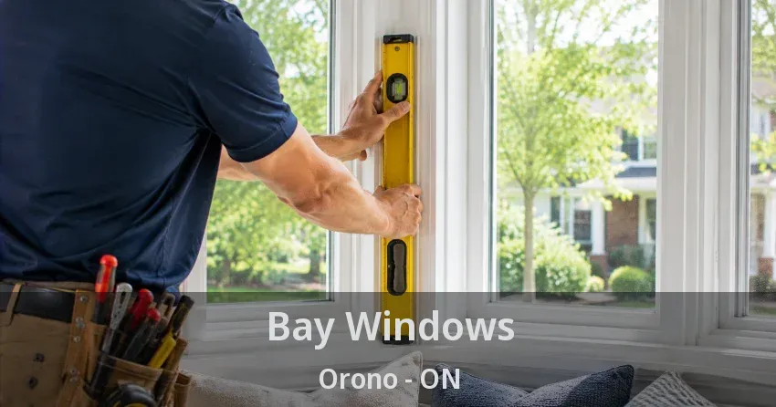Bay Windows Orono - ON