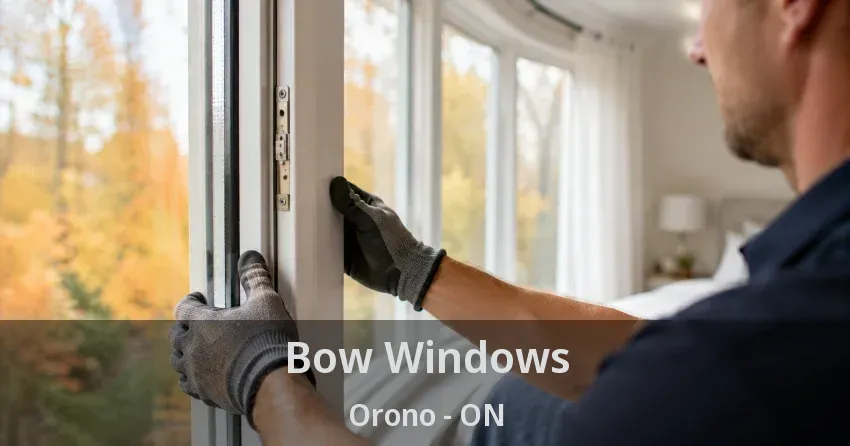 Bow Windows Orono - ON