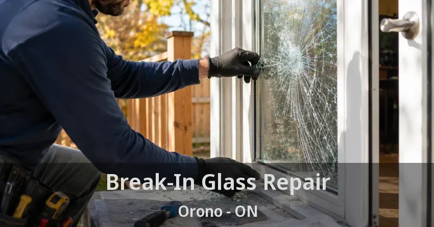 Break-In Glass Repair Orono - ON