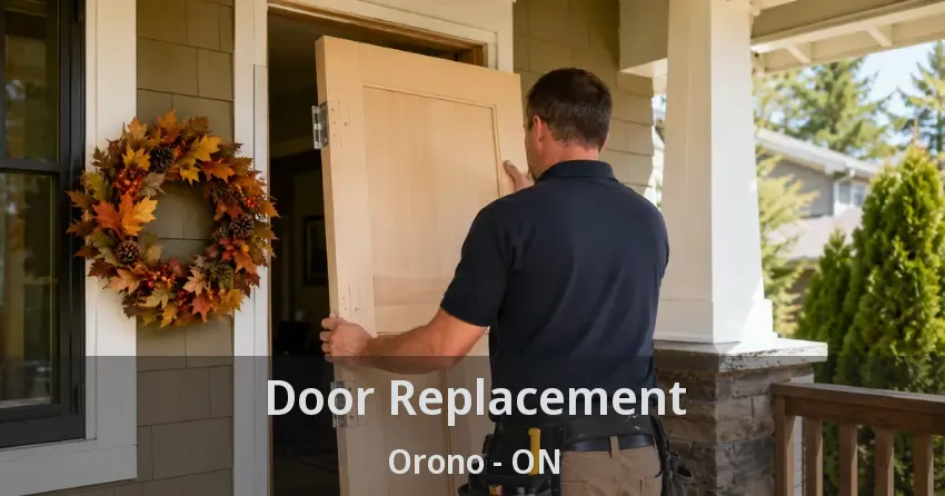 Door Replacement Orono - ON