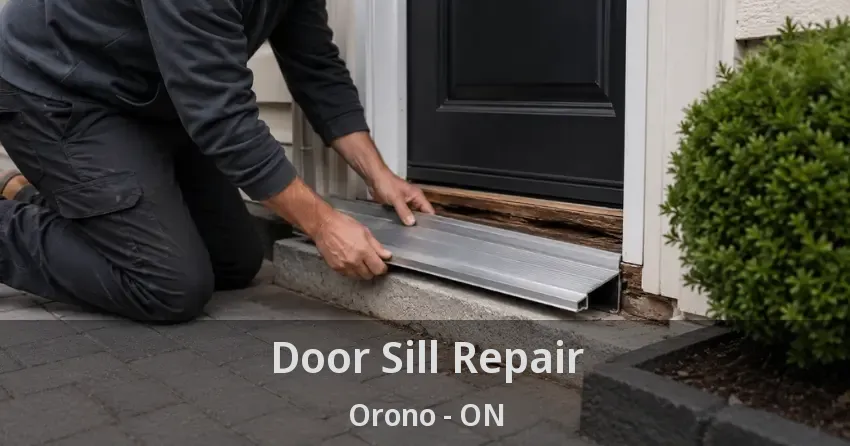 Door Sill Repair Orono - ON