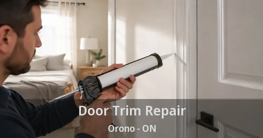 Door Trim Repair Orono - ON