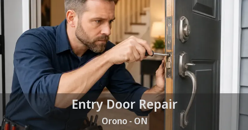 Entry Door Repair Orono - ON