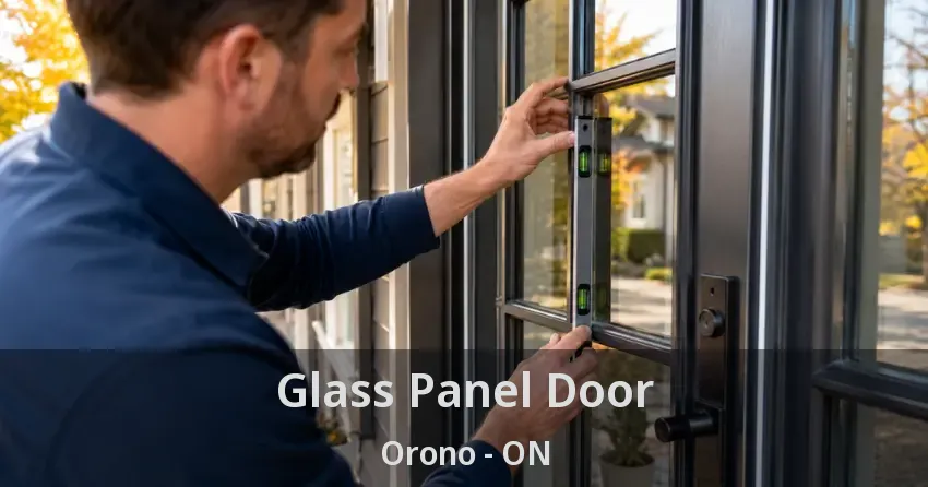 Glass Panel Door Orono - ON