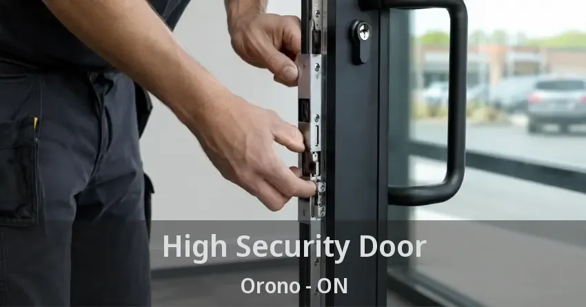 High Security Door Orono - ON