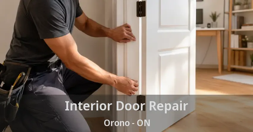 Interior Door Repair Orono - ON