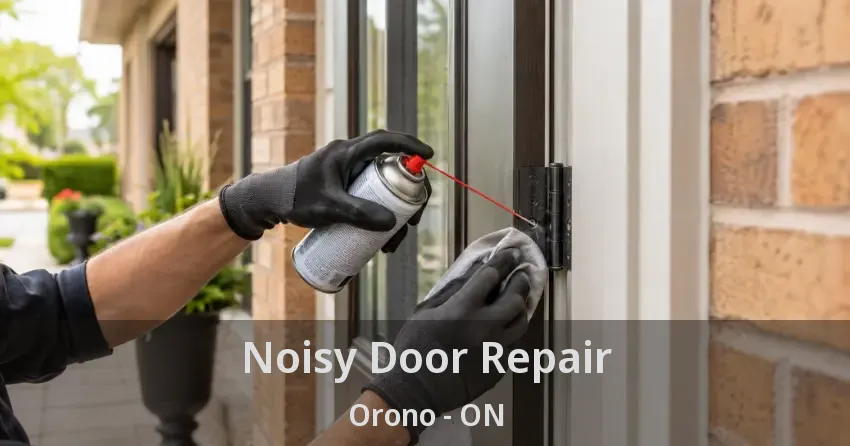 Noisy Door Repair Orono - ON