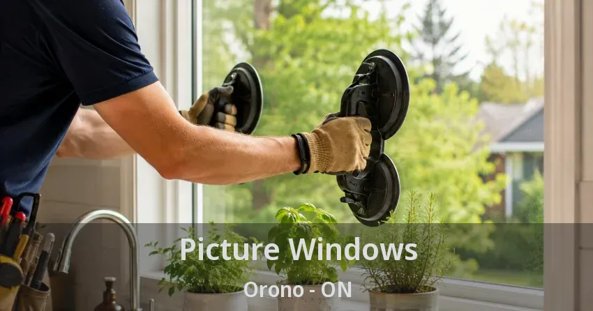 Picture Windows Orono - ON