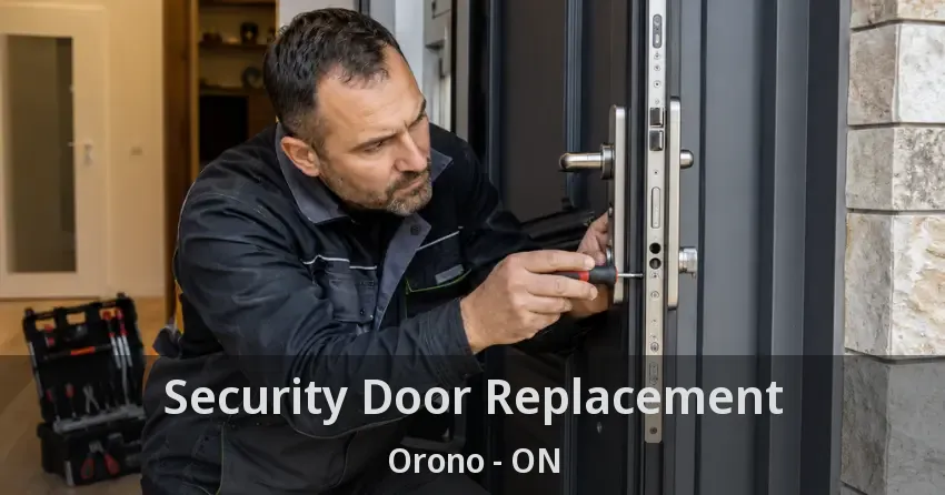 Security Door Replacement Orono - ON
