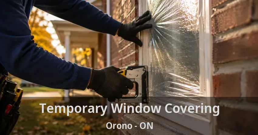 Temporary Window Covering Orono - ON