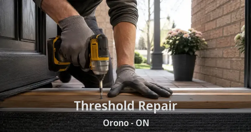 Threshold Repair Orono - ON