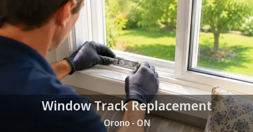 Window Track Replacement Orono - ON